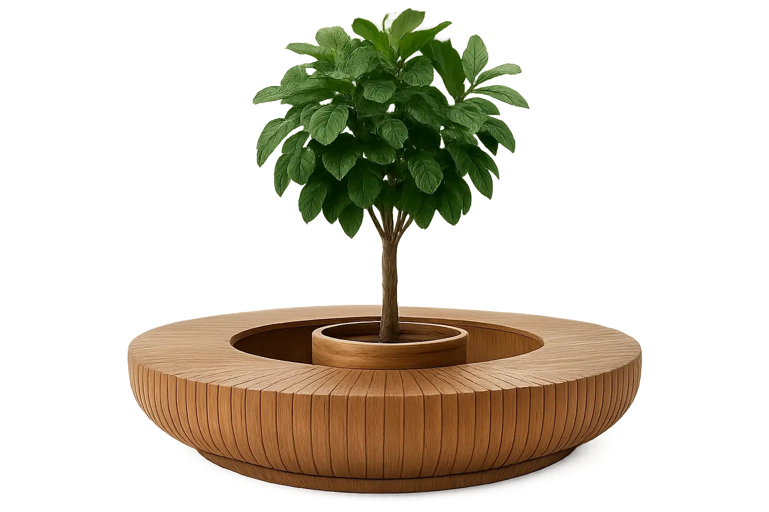 Ett litet träd planterat i en rund, träbeklädd bänk. Bänken har en cylindrisk form och är konstruerad av vertikala träribbor.