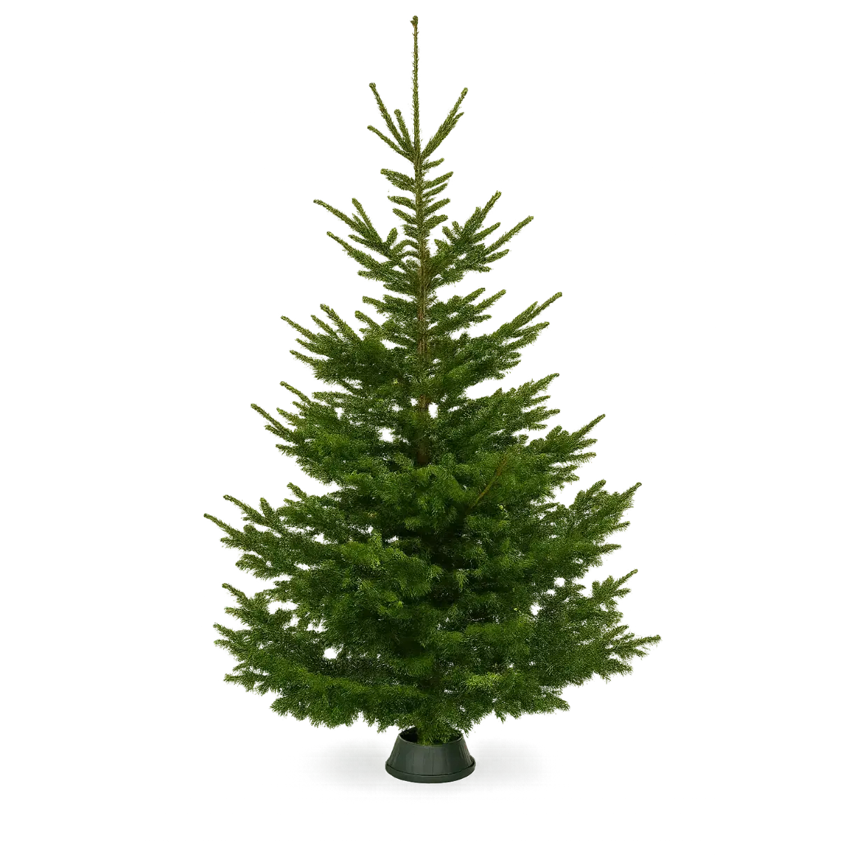 En detaljerad bild visar en full, traditionell konstgjord julgran mot en helt svart bakgrund, och betonar dess realistiska barr och koniska form.